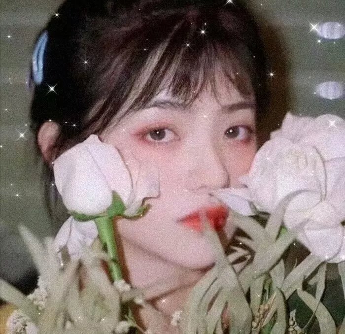嘉年华大盗